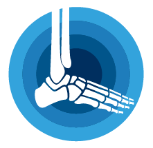 Ankle joint